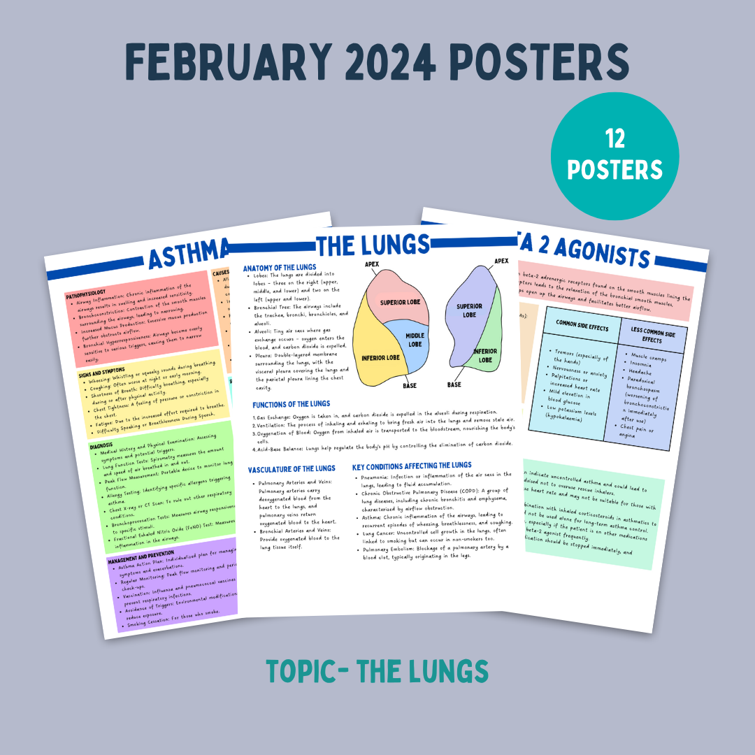 February 2024 posters- Topic The Lungs
