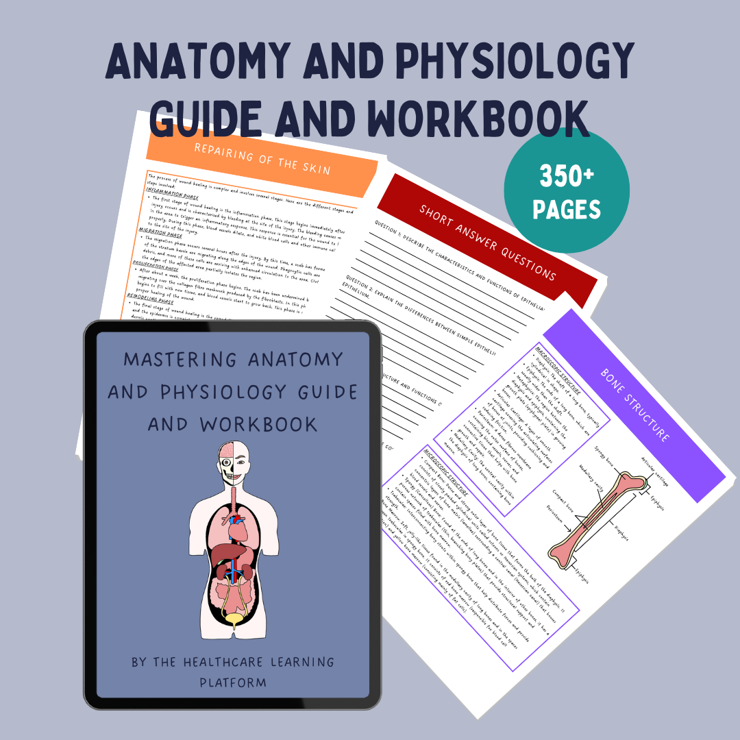 Mastering Anatomy and Physiology Digital Guide and Workbook
