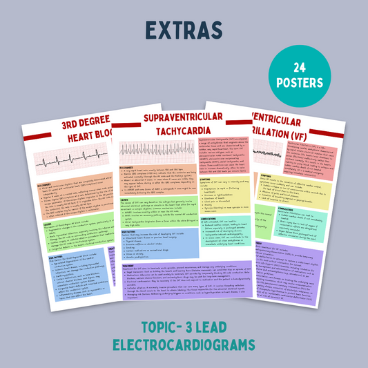 3 Lead Electrocardiogram Posters