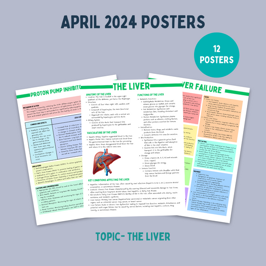 April 2024 posters- Topic the liver