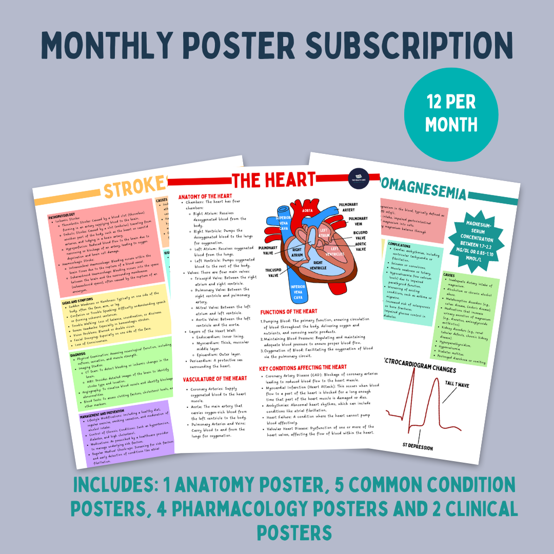 🌟 Healthcare Student Poster Subscription Service 🌟